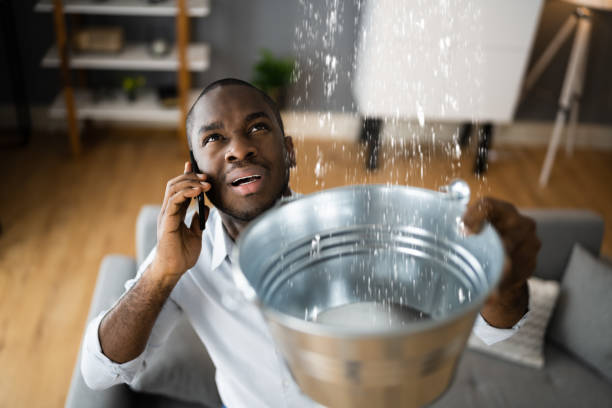 Best Water damage restoration near me  in Columbiana, AL