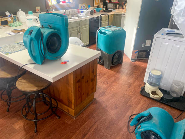 Best Fire Damage Restoration  in Columbiana, AL