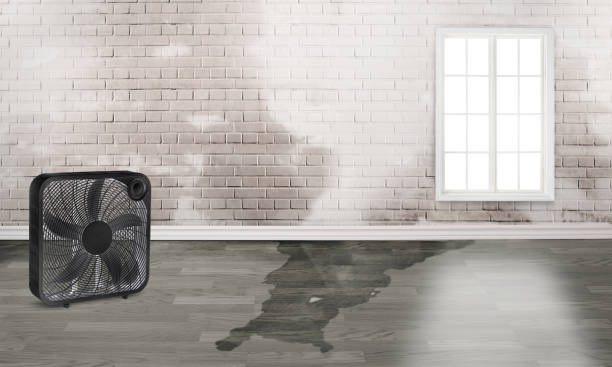 Reliable Columbiana, AL Water damage restoration Solutions
