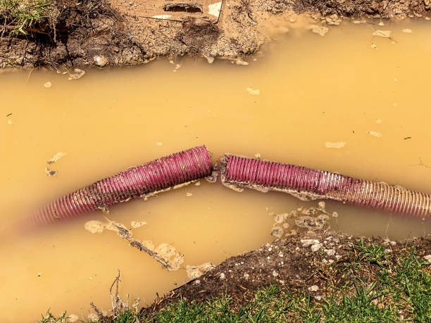 Best Carpet water damage restoration  in Columbiana, AL